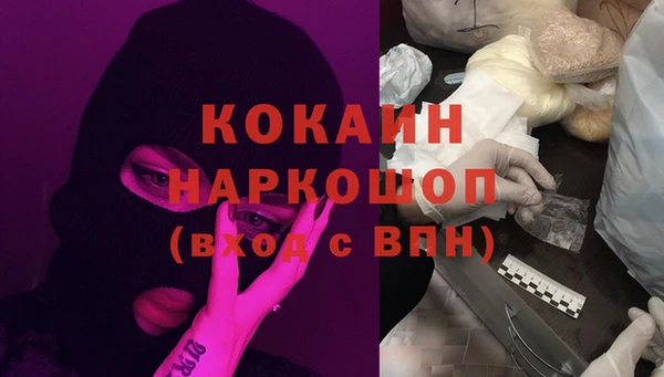 молекула духа Инсар