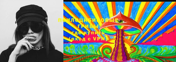 спайс Каменногорск